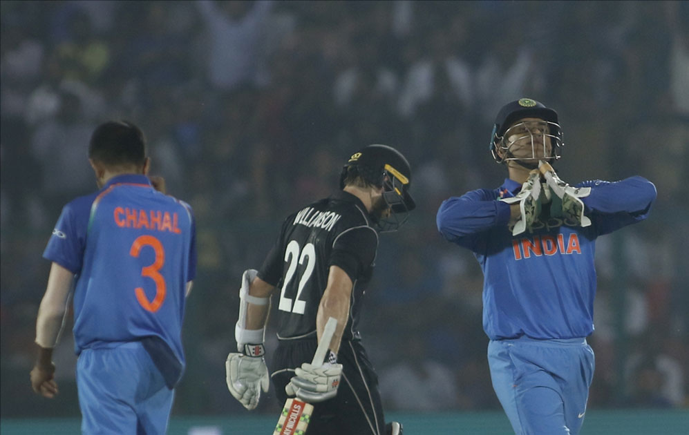 India`s MS Dhoni celebrates fall of Kane Williamson`s wicket during the third ODI match between India and New Zealand at Green Park Stadium in Kanpur. India`s MS Dhoni celebrates fall of Kane Williamson`s wicket during the third ODI match between India and New Zealand at Green Park Stadium in Kanpur.