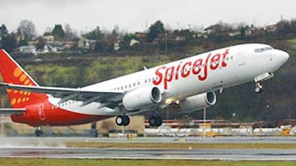 SpiceJet कराएगा फ्री में हवाई सफर, ऐसे मिलेगा प्लेन का टिकट SpiceJet कराएगा फ्री में हवाई सफर, ऐसे मिलेगा प्लेन का टिकट