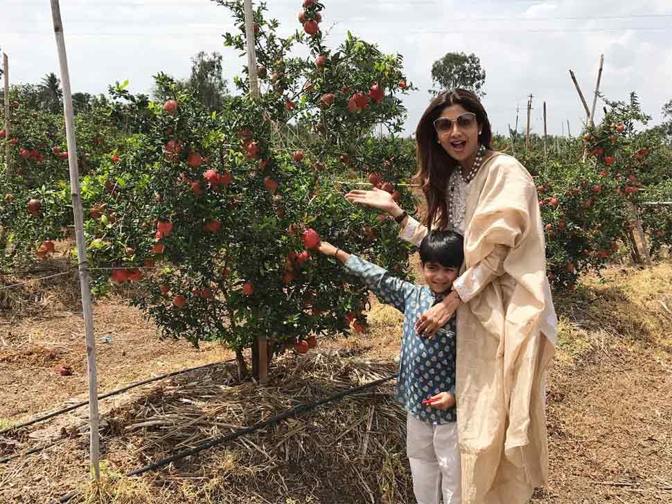 Shilpa Shetty, Happy Birthday, Birthday Special