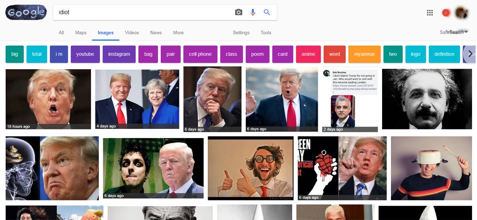Ã Â¤Â¡Ã Â¥ÂÃ Â¤Â¨Ã Â¤Â¾Ã Â¤Â²Ã Â¥ÂÃ Â¤Â¡ Ã Â¤ÂÃ Â¥ÂÃ Â¤Â°Ã Â¤ÂÃ Â¤Âª, Idiot, Google image search, Results for Idiot, Albert Einstein, Trump 