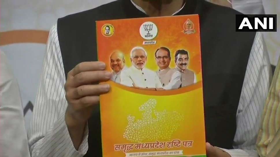 Live: BJP releases manifesto, these issues are the most important...
