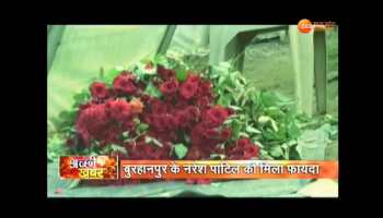 Madhya Pradesh: Fragrance spread through flower farming in the life of farmers of Burhanpur