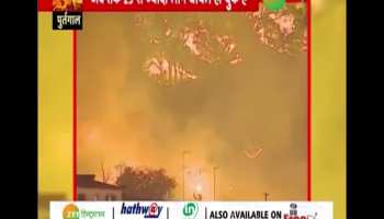 Heavy catastrophe in Portugal with forest fire