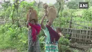 बलरामपुर: सड़क न होने से परेशान ग्रामीण, पहाड़ों और जंगल को पार कर लाते हैं राशन बलरामपुर: सड़क न होने से परेशान ग्रामीण, पहाड़ों और जंगल को पार कर लाते हैं राशन