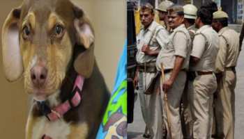 अपराधी पकड़ने में 'फेल', लेकिन कुत्ता खोजने में माहिर है यूपी पुलिस, आगरा में हुई पुष्टि अपराधी पकड़ने में 'फेल', लेकिन कुत्ता खोजने में माहिर है यूपी पुलिस, आगरा में हुई पुष्टि