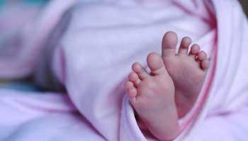 मुजफ्फरपुर: नवजात बच्ची को लेकर अस्पताल में उलझी दो महिला, जमकर हुई बहस मुजफ्फरपुर: नवजात बच्ची को लेकर अस्पताल में उलझी दो महिला, जमकर हुई बहस