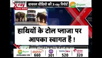 Where the elephants charge road tax!