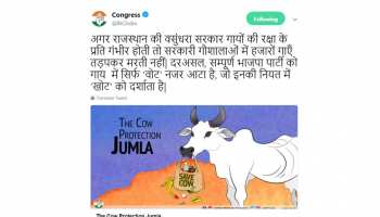 राजस्थान चुनाव: कांग्रेस ने जारी की TWITTER पर पोस्टर, कहा-भाजपा की नियत में खोट,गाय में दिखता केवल वोट राजस्थान चुनाव: कांग्रेस ने जारी की TWITTER पर पोस्टर, कहा-भाजपा की नियत में खोट,गाय में दिखता केवल वोट