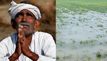 राजस्थान: भारी बारिश ने फसलों को किया बर्बाद, किसानों को मुआवजे की आस राजस्थान: भारी बारिश ने फसलों को किया बर्बाद, किसानों को मुआवजे की आस