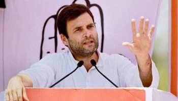 मेवाड़ के बाद अब बीकानेर संभाग में रोड शो करेंगे राहुल गांधी मेवाड़ के बाद अब बीकानेर संभाग में रोड शो करेंगे राहुल गांधी
