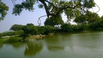 राजस्थान: सरकार की कोशिशों से बदली तालाबों की सूरत, बढ़ा वाटर लेवल राजस्थान: सरकार की कोशिशों से बदली तालाबों की सूरत, बढ़ा वाटर लेवल