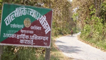 पर्यटकों के लिए अच्छी खबर, वाल्मीकि नगर टाइगर रिजर्व घूमने का किराया 50 फीसदी घटा पर्यटकों के लिए अच्छी खबर, वाल्मीकि नगर टाइगर रिजर्व घूमने का किराया 50 फीसदी घटा