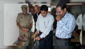 यूपी: कछुए की करोड़ों की खाल के साथ जा रहा था कोलकाता, पुलिस ने दबोचा यूपी: कछुए की करोड़ों की खाल के साथ जा रहा था कोलकाता, पुलिस ने दबोचा