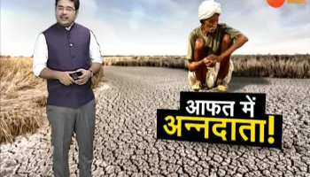Jharkhand: Drought's terrible picture in 18 districts