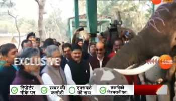 Bihar: CM Nitish Kumar gets blessings of Gajraj in Valmikinagar
