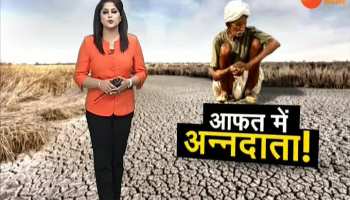 Khabar Jharkhand: important news of Jharkhand (18 November)
