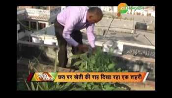 No fruit bought for 9 years, cultivation on the roof