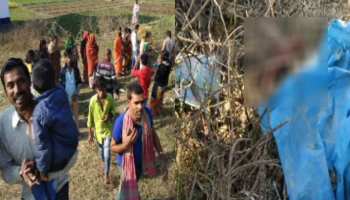 चतरा: झाड़ियों में पड़े नवजात के शव पर कुत्तों ने बनाया शिकार, इलाके में फैली सनसनी चतरा: झाड़ियों में पड़े नवजात के शव पर कुत्तों ने बनाया शिकार, इलाके में फैली सनसनी