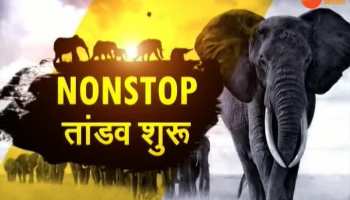 harkhand: The villagers scared to elephants