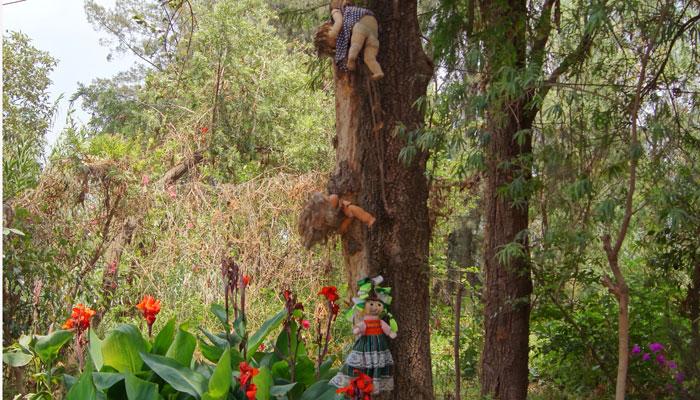 क्या आप इस डरावनी जगह 'आइलैंड ऑफ डॉल्स' जाने का साहस रखते हैं? क्या आप इस डरावनी जगह 'आइलैंड ऑफ डॉल्स' जाने का साहस रखते हैं?