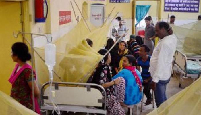दिल्ली में चिकनगुनिया का प्रकोप; मृतकों की संख्या 4 हुई, पीड़ितों की संख्या 1,000 के पार दिल्ली में चिकनगुनिया का प्रकोप; मृतकों की संख्या 4 हुई, पीड़ितों की संख्या 1,000 के पार