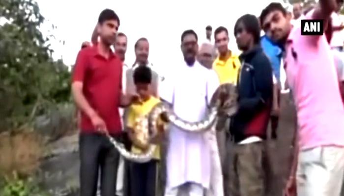 SHOCKING VIDEO: एक आदमी ने अजगर के साथ सेल्फी लेने की कोशिश की, क्या हुआ फिर...! SHOCKING VIDEO: एक आदमी ने अजगर के साथ सेल्फी लेने की कोशिश की, क्या हुआ फिर...!