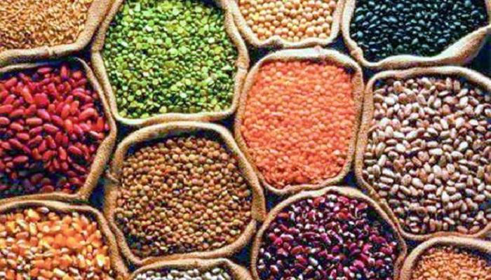 दालों के भंडारण पर मिली छूट दालों के भंडारण पर मिली छूट