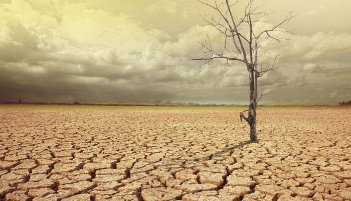2016 अब तक का सबसे ज्यादा गर्म साल रहा: संयुक्त राष्ट्र मौसम एजेंसी 2016 अब तक का सबसे ज्यादा गर्म साल रहा: संयुक्त राष्ट्र मौसम एजेंसी