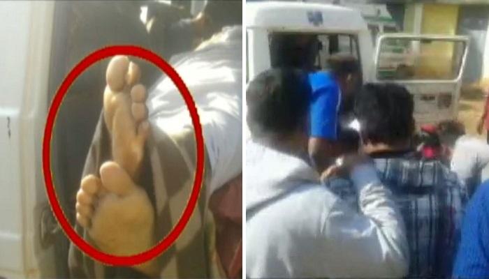 चूहे कुतर गए कमांडर का शव चूहे कुतर गए कमांडर का शव