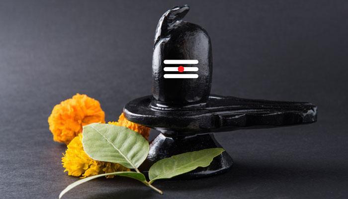 महाशिवरात्रि पर इन बातों का रखें विशेष ध्यान, भूलकर भी शिवलिंग पर नहीं चढ़ाएं 'ये पांच चीजें' महाशिवरात्रि पर इन बातों का रखें विशेष ध्यान, भूलकर भी शिवलिंग पर नहीं चढ़ाएं 'ये पांच चीजें'