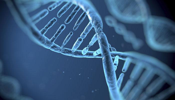 DNA में स्टोर किया गया कंप्यूटर ऑपरेटिंग सिस्टम, शॉर्ट मूवी, बनेगा भविष्य का डाटा बैंक! DNA में स्टोर किया गया कंप्यूटर ऑपरेटिंग सिस्टम, शॉर्ट मूवी, बनेगा भविष्य का डाटा बैंक!