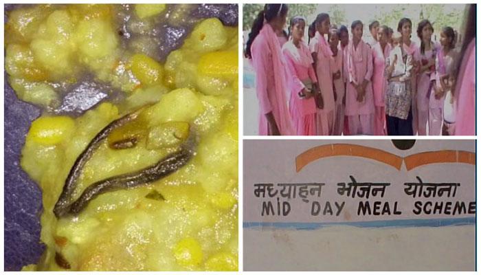 हरियाणा: मिड डे मील खाने में निकला सांप, जांच के लिए भेजा गया चंडीगढ़ लैब हरियाणा: मिड डे मील खाने में निकला सांप, जांच के लिए भेजा गया चंडीगढ़ लैब