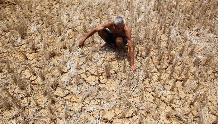 किसान ने पेड़ से फांसी लगाकर की खुदकुशी, पायलट ने भाजपा सरकार पर मढ़ा दोष किसान ने पेड़ से फांसी लगाकर की खुदकुशी, पायलट ने भाजपा सरकार पर मढ़ा दोष