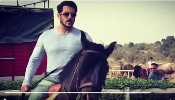 ‘टाइगर जिंदा है’ के लिए घुड़सवारी सीख रहे सलमान खान, VIDEO ‘टाइगर जिंदा है’ के लिए घुड़सवारी सीख रहे सलमान खान, VIDEO