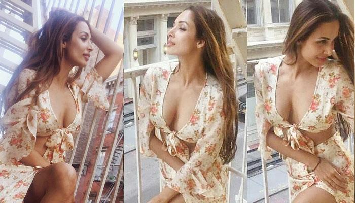 अपनी इन तस्वीरों के कारण फिर सुर्खियों में हैं मलाइका अरोड़ा, देखें Viral Photos अपनी इन तस्वीरों के कारण फिर सुर्खियों में हैं मलाइका अरोड़ा, देखें Viral Photos