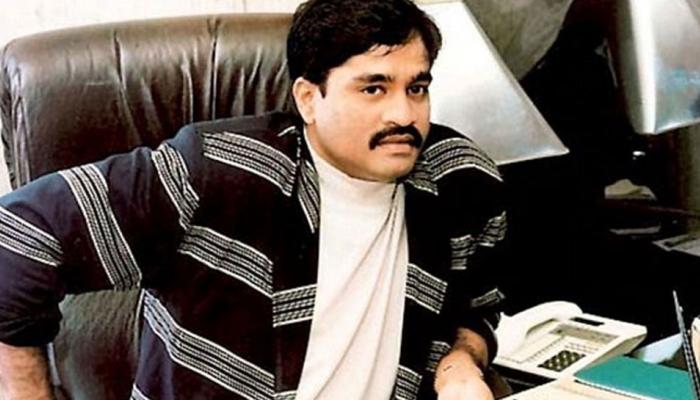 'मैक्सिको के ड्रग माफियाओं की तरह दाऊद इब्राहिम की D कंपनी ने कई देशों में फैलाया जाल' 'मैक्सिको के ड्रग माफियाओं की तरह दाऊद इब्राहिम की D कंपनी ने कई देशों में फैलाया जाल'