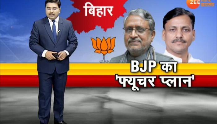 Future Plan of BJP in Bihar Future Plan of BJP in Bihar