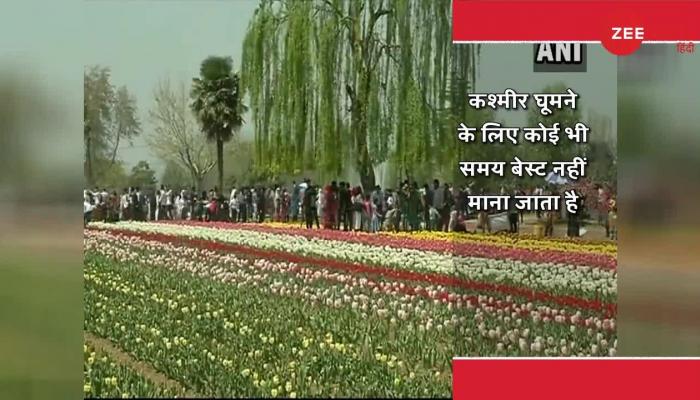 tourists visit Indira Gandhi Tulip Garden in Jammu & Kashmir इस गार्डन में खिले 4 लाख ट्यूलिप के फूल, देखने के लिए उमड़ी लोगों की भीड़