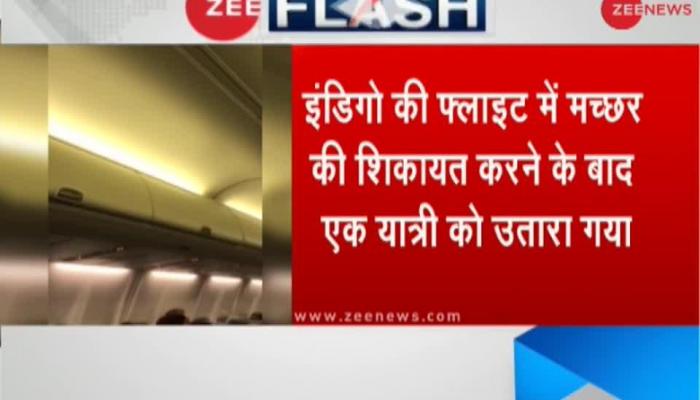 फ्लाइट में मच्छर की शिकायत करने पर इंडियो ने यात्री को प्लेन से उतारा IndiGo passenger manhandled; offloaded for complaining about mosquitoes