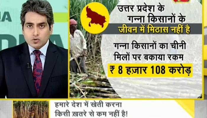 DNA: Analysis on the problems of sugarcane farmers of Uttar Pradesh DNA, DNA Video, Sudhir Chaudhary, DNA show, problems, sugarcane, Farmers, problems of sugarcane farmers, UTTAR PRADESH, up, UP CM, UP CM YOGI, Yogi Adityanath, analysis