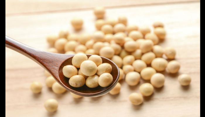 Beauty benefits of eating soybean Beauty benefits of eating soybean