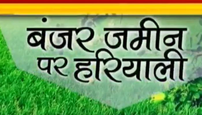 चतरा के किसानों के चेहरे खिले, सरकार ने सोलर वॉटर पंप के जरिए खेतों तक पहुंचाया पानी चतरा के किसानों के चेहरे खिले, सरकार ने सोलर वॉटर पंप के जरिए खेतों तक पहुंचाया पानी