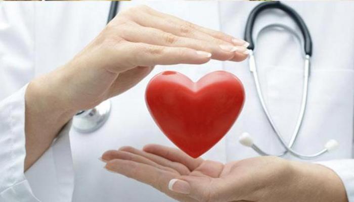 बेंगलुरु से कोलकाता लाया गया जिंदा HEART, झारखंड के मरीज की बचाई गई जान बेंगलुरु से कोलकाता लाया गया जिंदा HEART, झारखंड के मरीज की बचाई गई जान