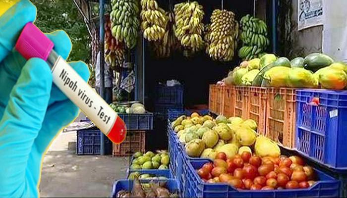 निपाह वायरस के चलते बैन हुए 3 फल और सब्जियां, भारत पर सबसे बड़ा 'खतरा' निपाह वायरस के चलते बैन हुए 3 फल और सब्जियां, भारत पर सबसे बड़ा 'खतरा'