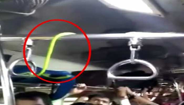 VIDEO : मुंबई लोकल में घुसा दो फीट लंबा सांप, सहमे यात्रियों ने डर के साये में किया सफर VIDEO : मुंबई लोकल में घुसा दो फीट लंबा सांप, सहमे यात्रियों ने डर के साये में किया सफर
