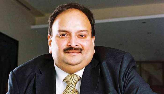2017 में चोकसी की कोई आपराधिक पृष्ठभूमि नहीं मिली, इसलिए मिली बेदाग रिपोर्ट : मुम्बई पुलिस 2017 में चोकसी की कोई आपराधिक पृष्ठभूमि नहीं मिली, इसलिए मिली बेदाग रिपोर्ट : मुम्बई पुलिस