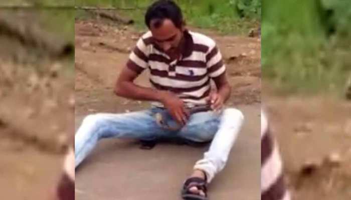 गुजरात : सांप के साथ मस्ती पड़ गई युवक को भारी, देखें VIDEO गुजरात : सांप के साथ मस्ती पड़ गई युवक को भारी, देखें VIDEO