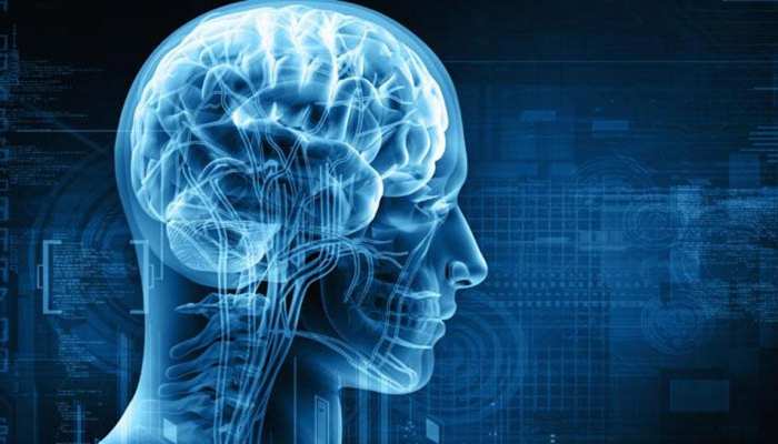 व्यापार में निवेश करने वालों को आखिर क्यों लगता है डर, वैज्ञानिकों ने किया खुलासा व्यापार में निवेश करने वालों को आखिर क्यों लगता है डर, वैज्ञानिकों ने किया खुलासा