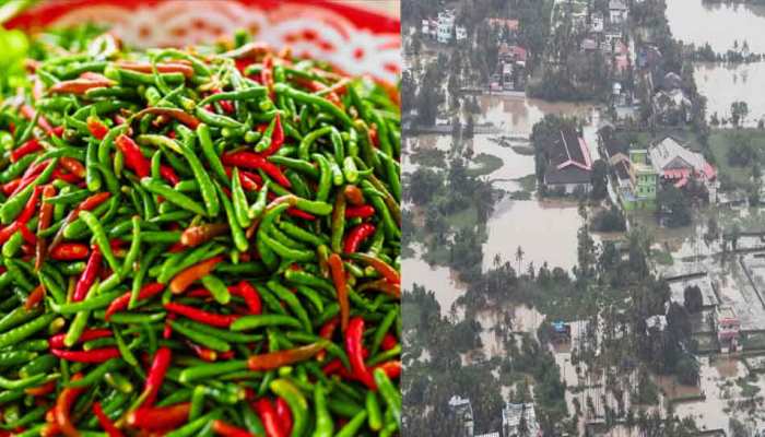 बाढ़ से बेहाल केरल में खाने पीने की चीजें महंगी, 400 रुपए किलो बिक रही हरी मिर्च बाढ़ से बेहाल केरल में खाने पीने की चीजें महंगी, 400 रुपए किलो बिक रही हरी मिर्च