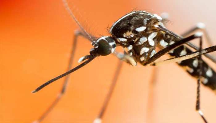 NASA's machine will save you from mosquito sting, technology developed after long research NASA's machine will save you from mosquito sting, technology developed after long research